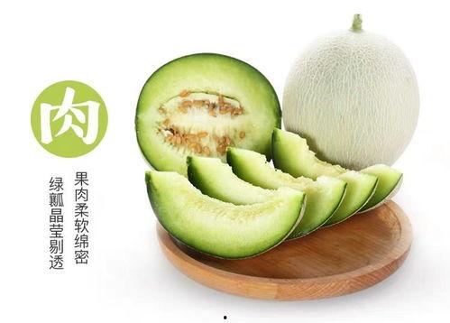 西瓜视频在线免费观看  第2张