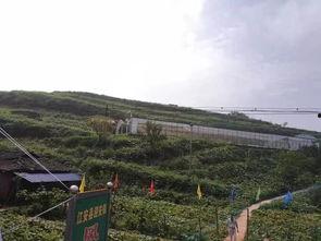 宜人宜宾 