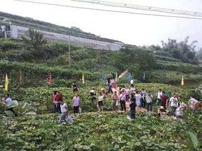 宜人宜宾  第2张