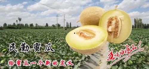 从此再无天人书碎梦篇 