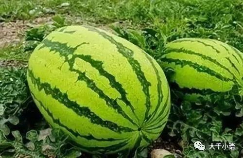 黑料吃瓜网apk普通安装 第2张 黑料吃瓜网apk普通安装 第2张