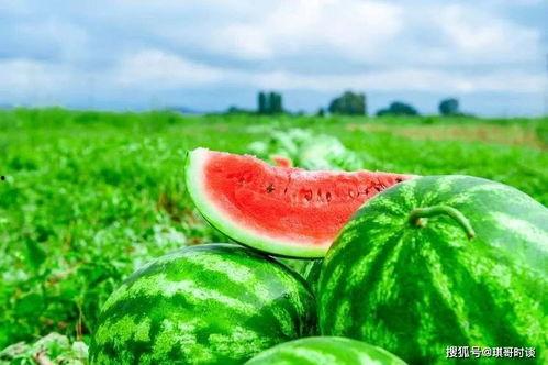 黑料吃瓜网apk普通安装 第3张 黑料吃瓜网apk普通安装 第3张